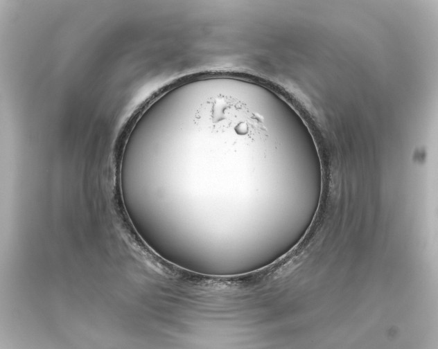 X0000093561270200710291011