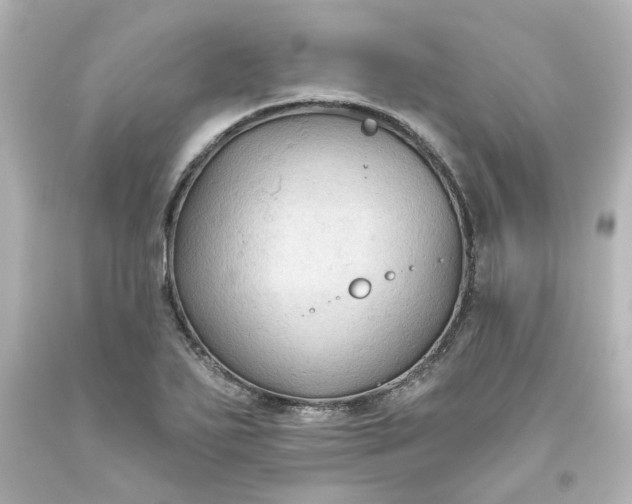 X0000093561271200710291011