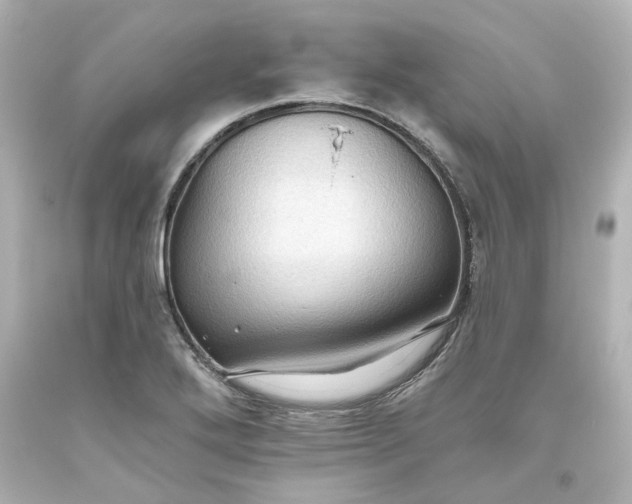 X0000093561272200710291011