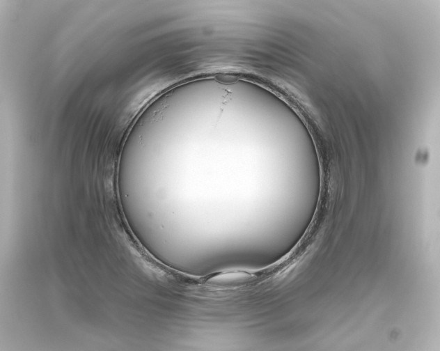 X0000093561273200710291011