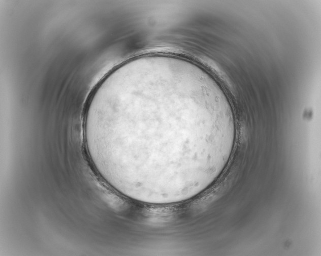 X0000093561274200710291011