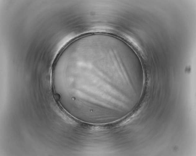 X0000093561275200710291011