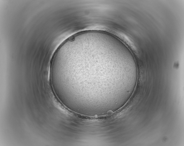 X0000093561276200710291011