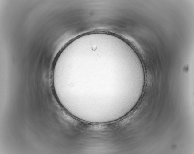 X0000093561278200710291011