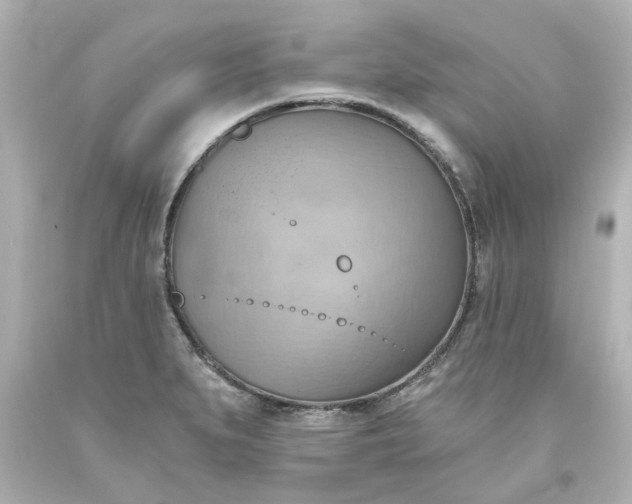 X0000093561279200710291011