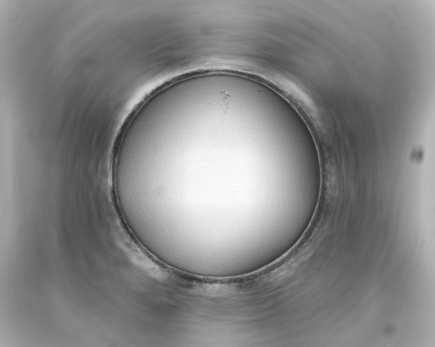 X0000093561280200710291011