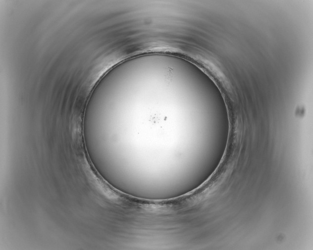 X0000093561281200710291011