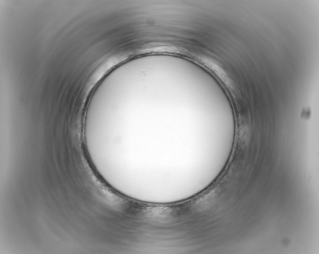 X0000093561282200710291011