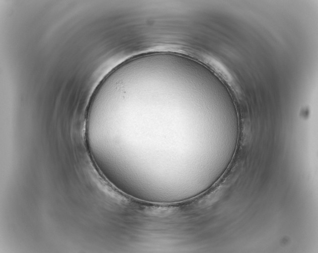 X0000093561284200710291011