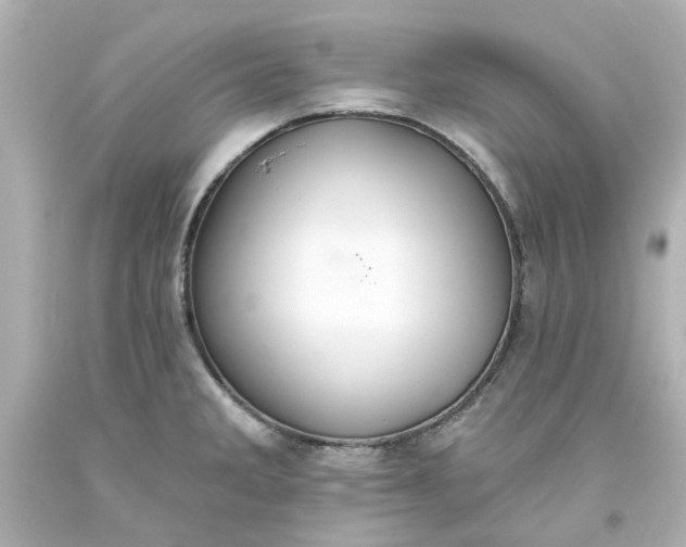 X0000093561285200710291011