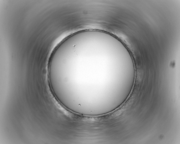 X0000093561286200710291011