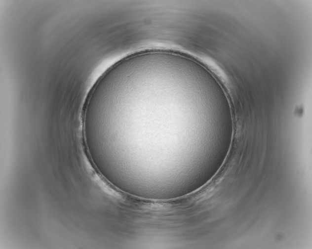 X0000093561287200710291011