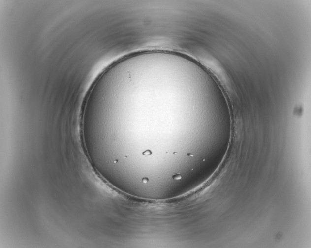 X0000093561288200710291011