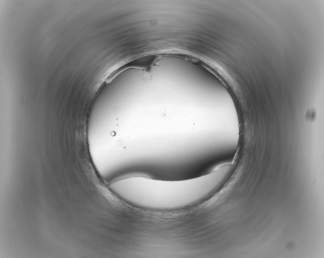 X0000093561289200710291011