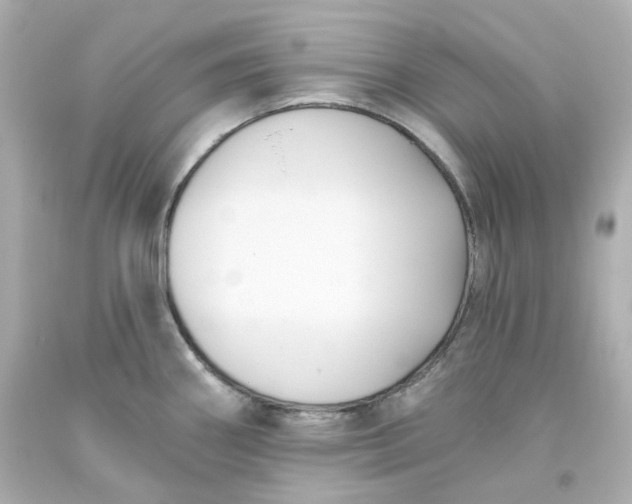 X0000093561290200710291011