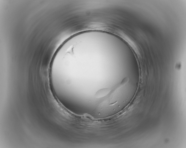 X0000093561291200710291011