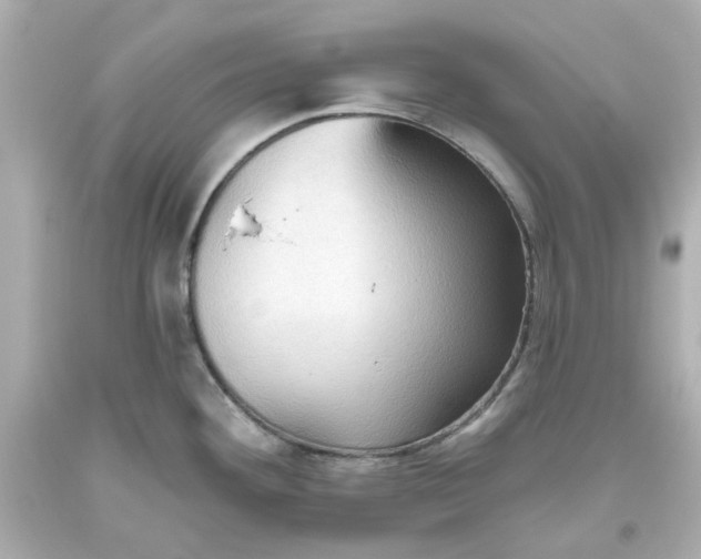 X0000093561292200710291011