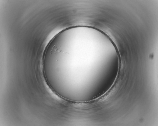 X0000093561293200710291011