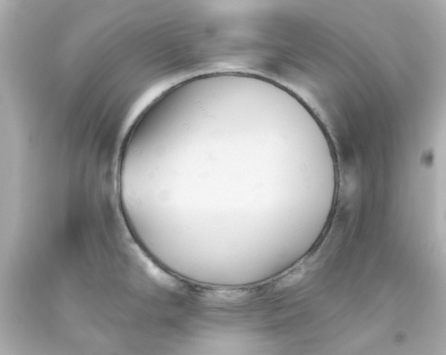 X0000093561294200710291011