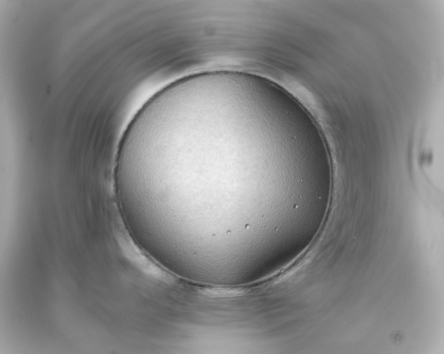 X0000093561296200710291011