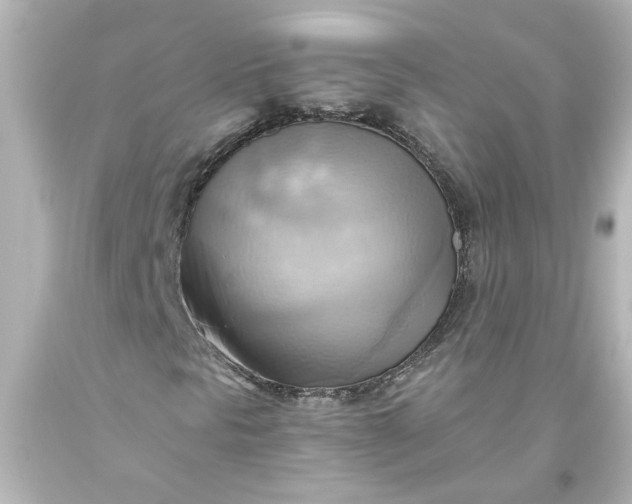 X0000093561297200710291010