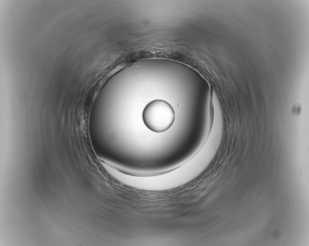 X0000093561298200710291010