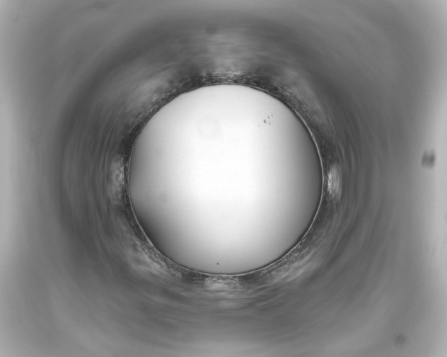 X0000093561299200710291010