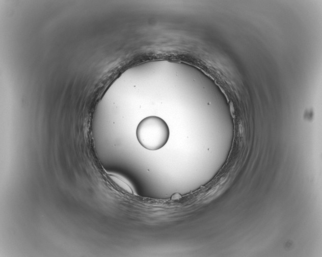 X0000093561300200710291010