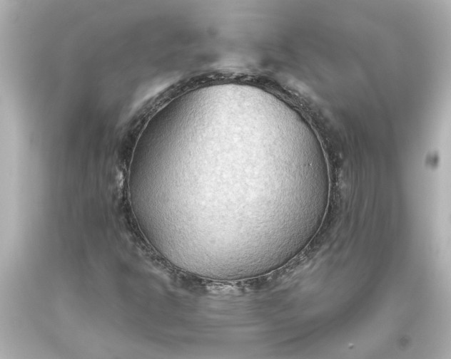 X0000093561302200710291010