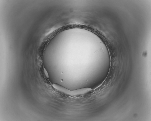 X0000093561303200710291010