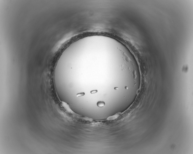 X0000093561304200710291010