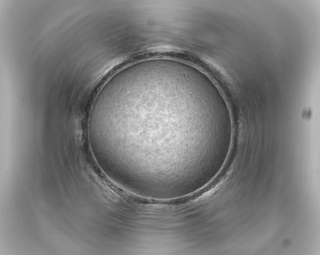 X0000093561305200710291010