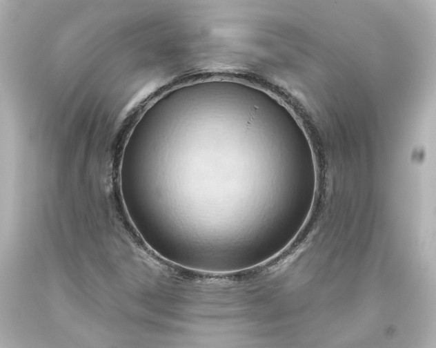 X0000093561306200710291010