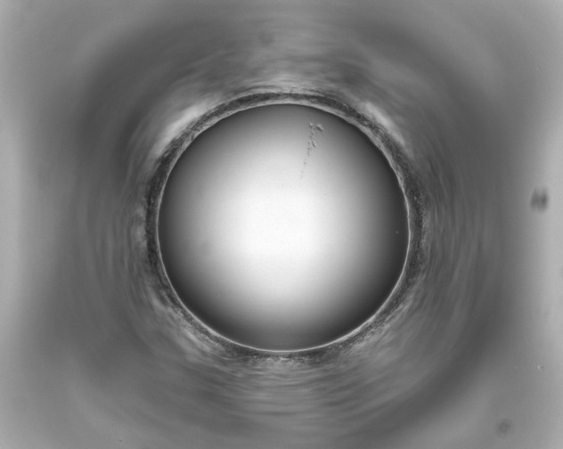 X0000093561307200710291010