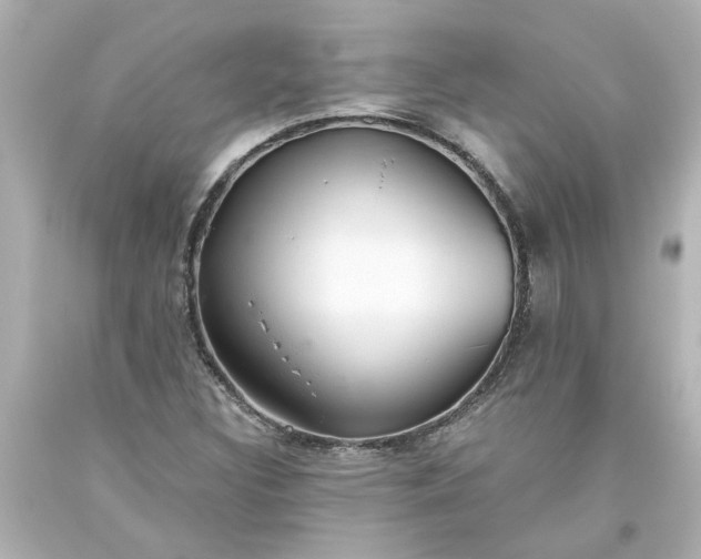 X0000093561308200710291010