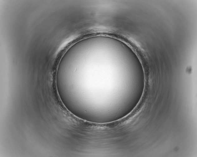 X0000093561309200710291010