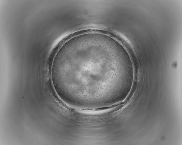 X0000093561310200710291010