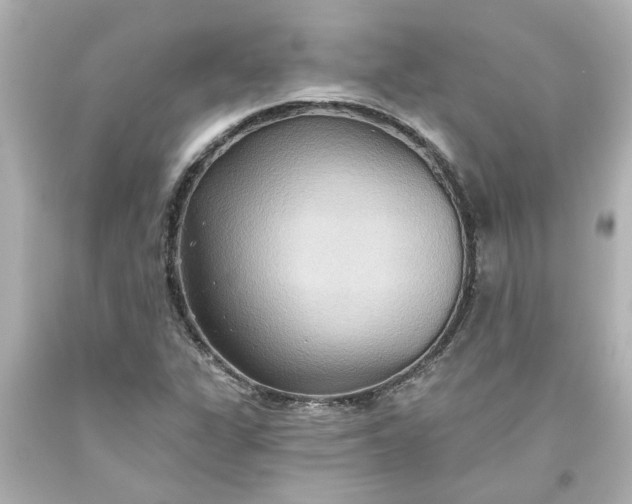 X0000093561311200710291010