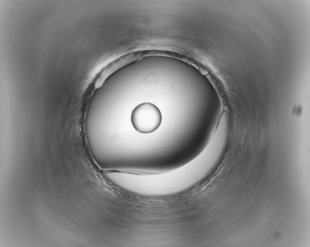 X0000093561312200710291010