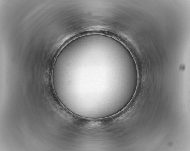 X0000093561313200710291010