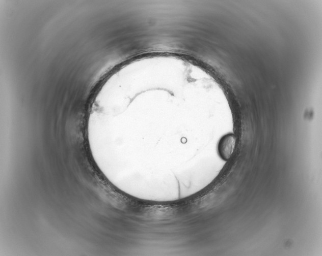 X0000093561314200710291010