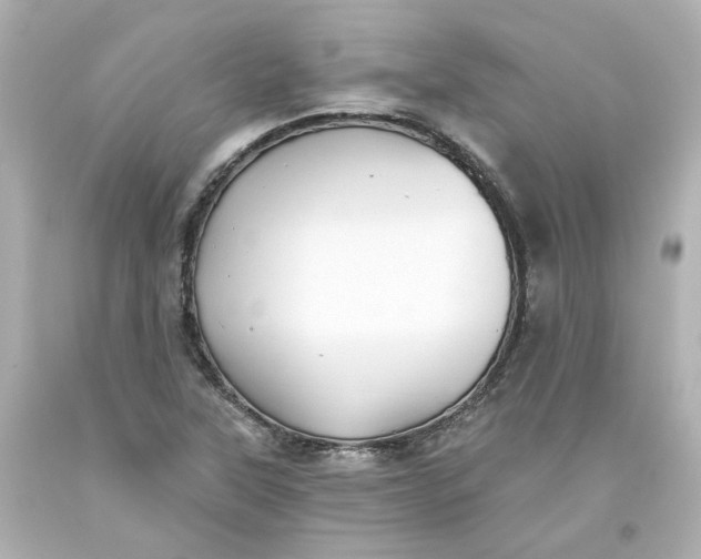 X0000093561315200710291010