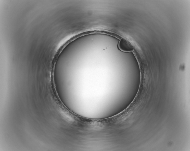 X0000093561316200710291010