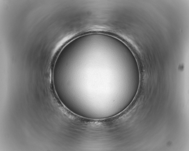 X0000093561317200710291010