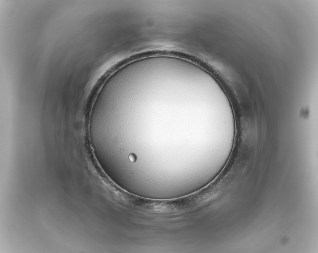 X0000093561318200710291010