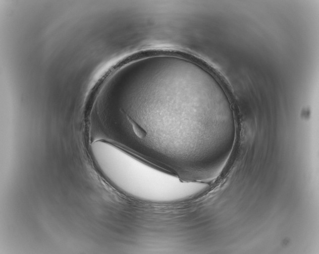 X0000093561319200710291010