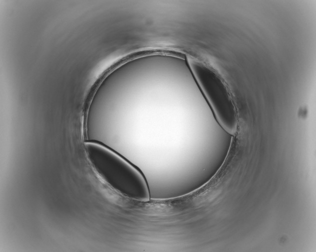 X0000093561320200710291011