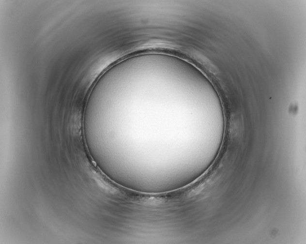 X0000093561321200710291011