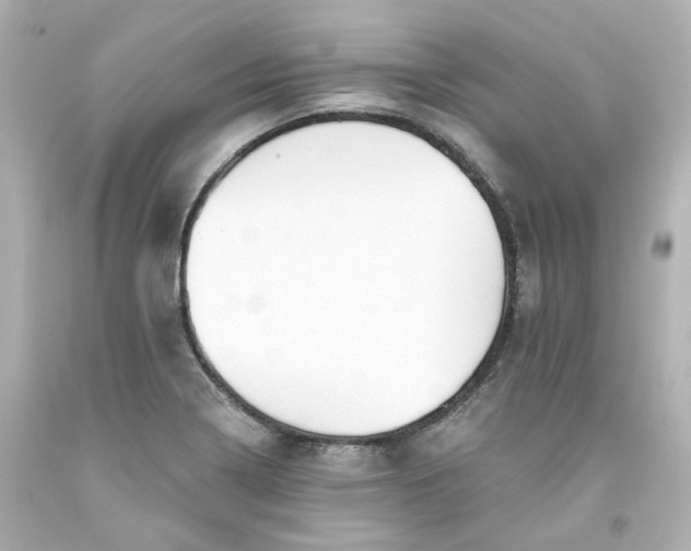 X0000093561322200710291011