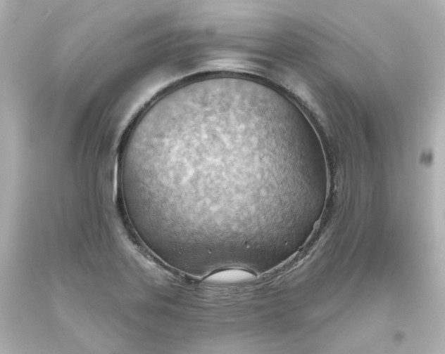 X0000093561323200710291011